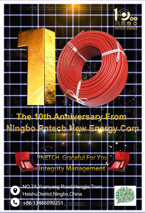 Latest company news about El 10mo aniversario de NIingbo PNtech